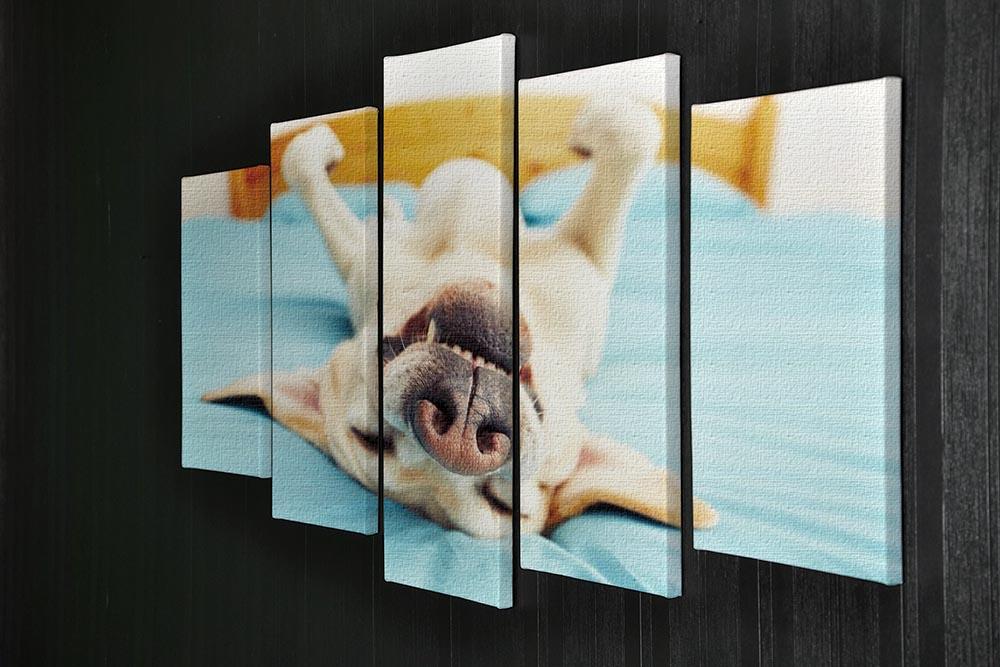 Dog is lying on back on the bed 5 Split Panel Canvas - Canvas Art Rocks - 2