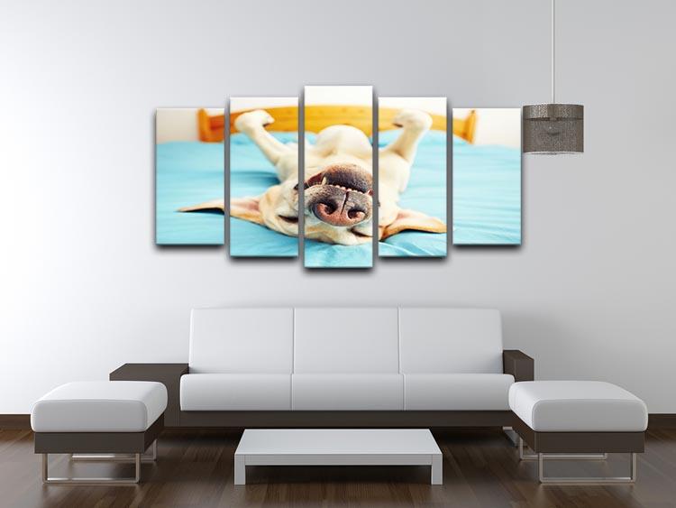 Dog is lying on back on the bed 5 Split Panel Canvas - Canvas Art Rocks - 3