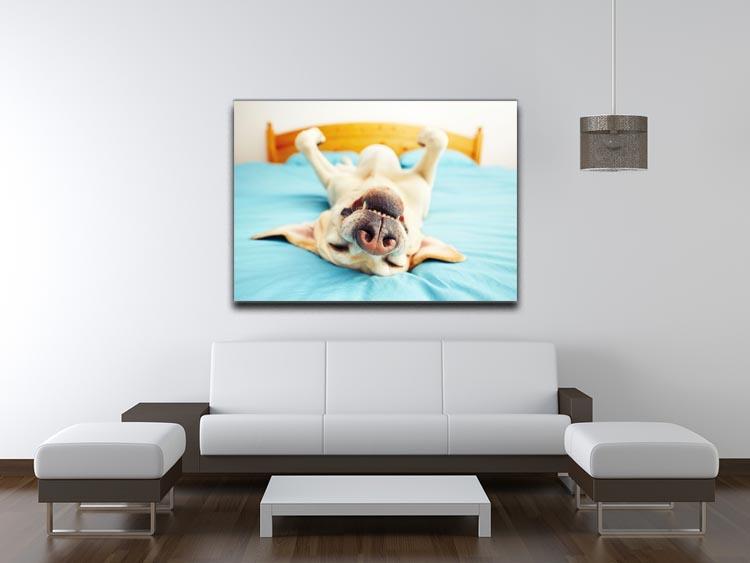 Dog is lying on back on the bed Canvas Print or Poster - Canvas Art Rocks - 4