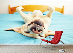 Dog is lying on back on the bed Wall Mural Wallpaper - Canvas Art Rocks - 2