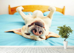 Dog is lying on back on the bed Wall Mural Wallpaper - Canvas Art Rocks - 4