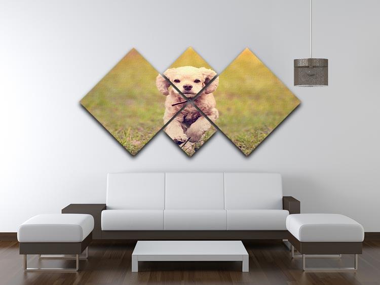 Dog is running at sunset 4 Square Multi Panel Canvas - Canvas Art Rocks - 3