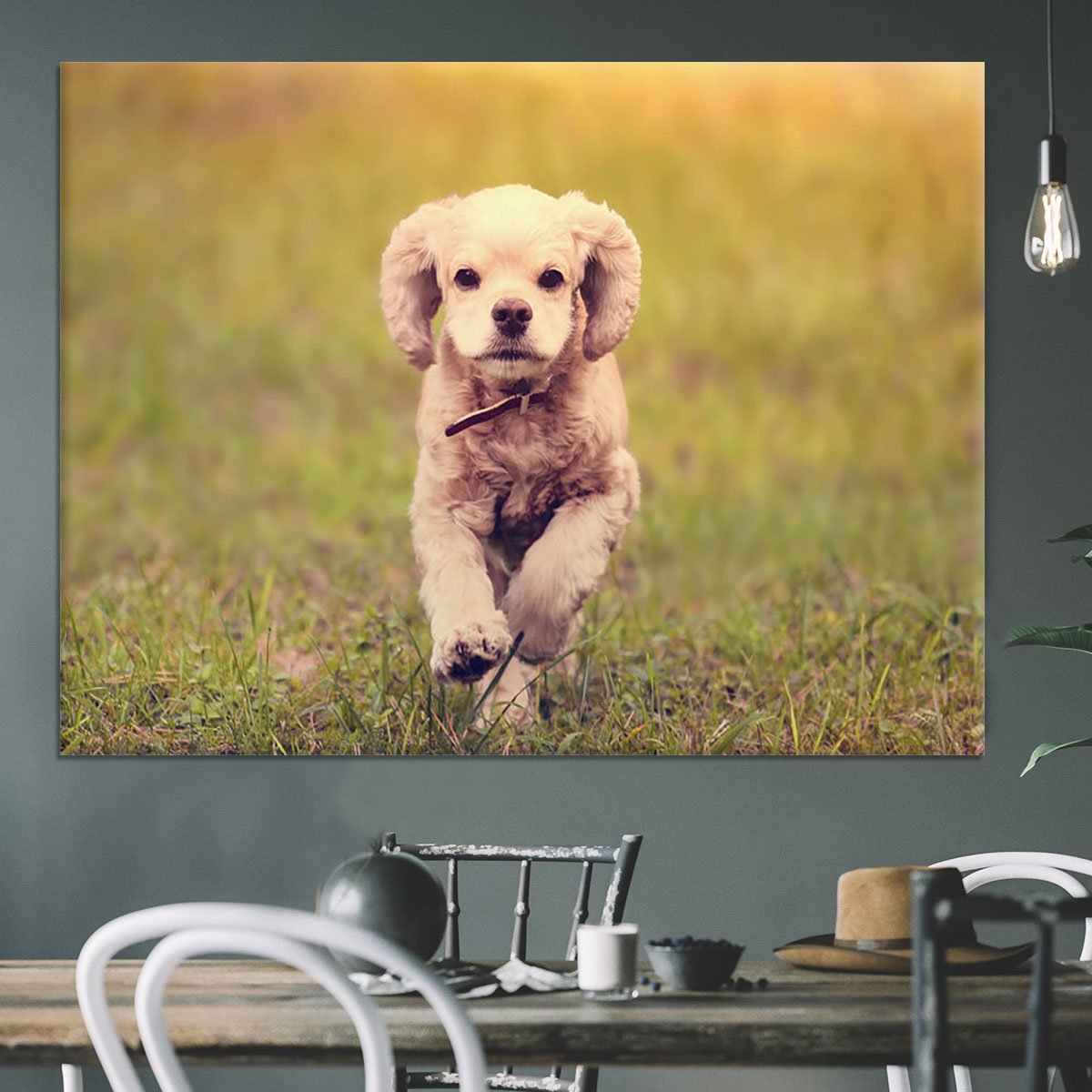 Dog is running at sunset Canvas Print or Poster