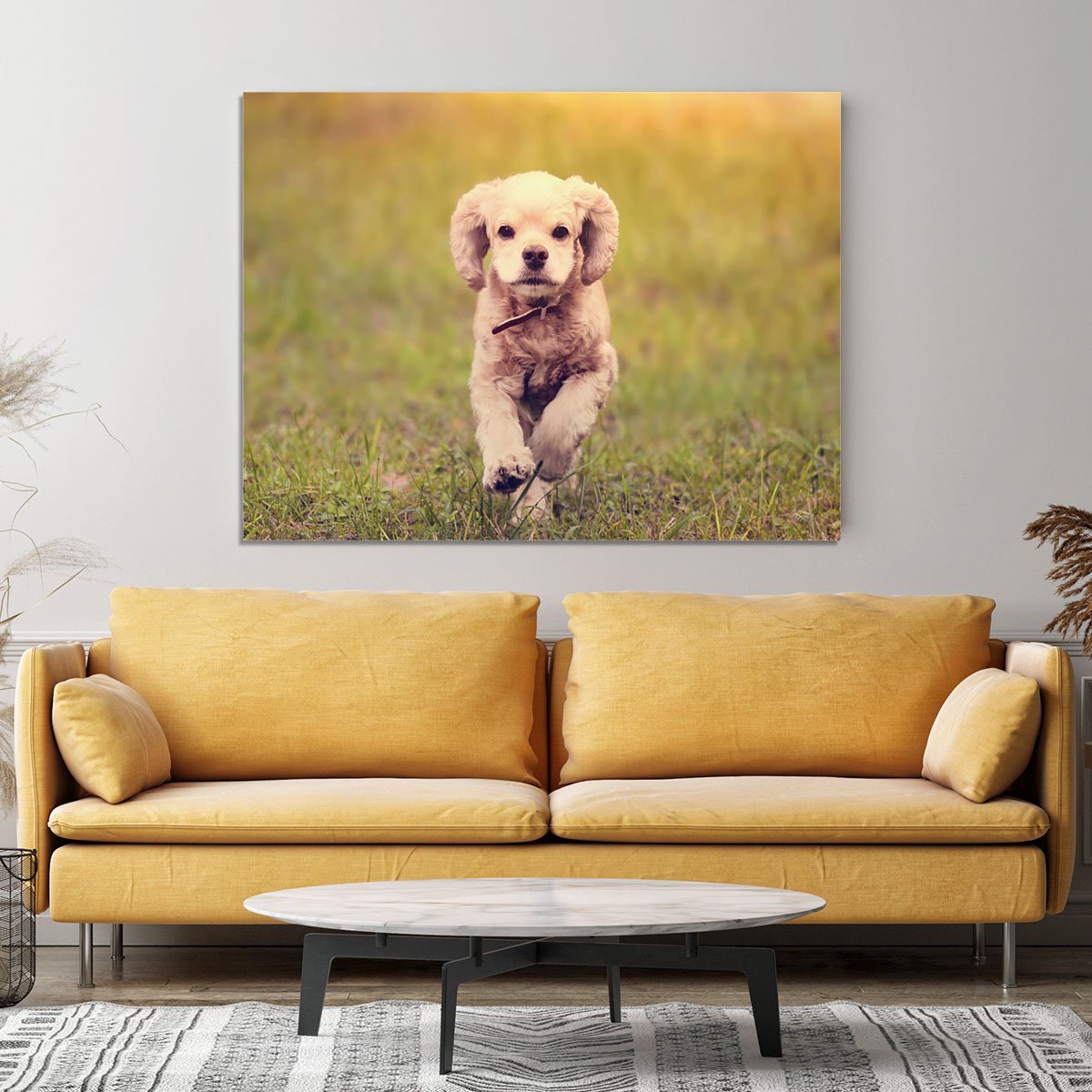 Dog is running at sunset Canvas Print or Poster