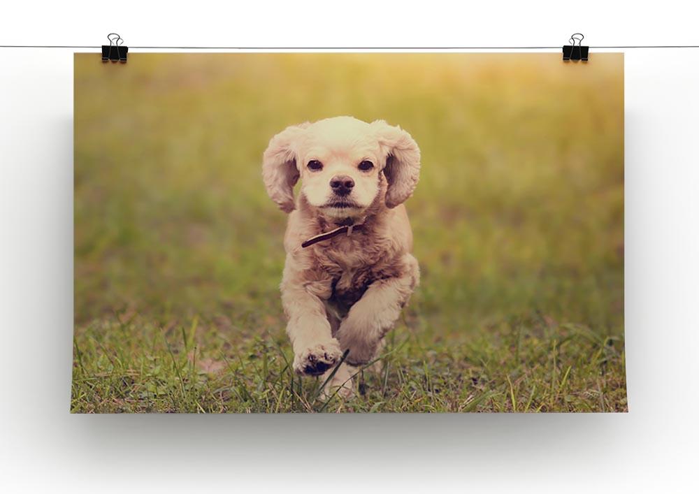 Dog is running at sunset Canvas Print or Poster - Canvas Art Rocks - 2