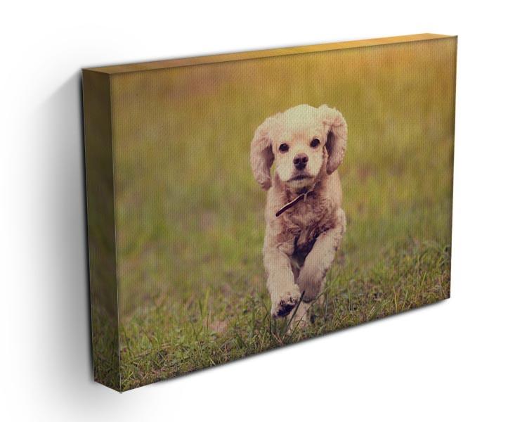 Dog is running at sunset Canvas Print or Poster - Canvas Art Rocks - 3