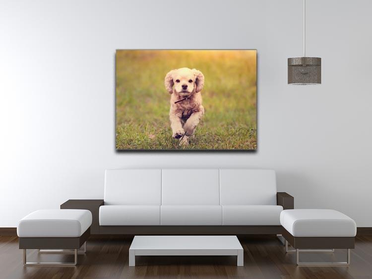 Dog is running at sunset Canvas Print or Poster - Canvas Art Rocks - 4