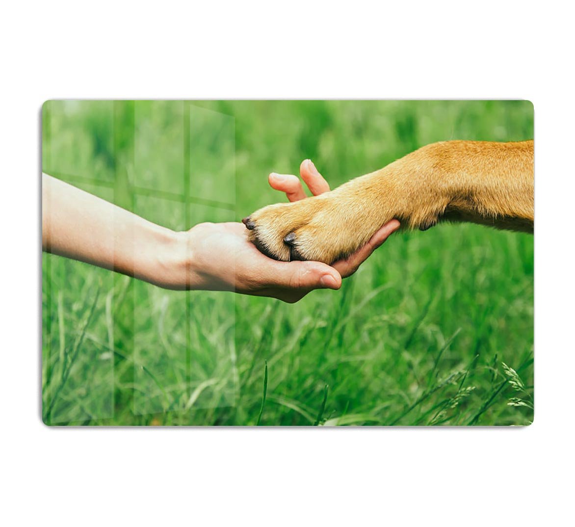 Dog paw and human hand are doing handshake HD Metal Print - Canvas Art Rocks - 1