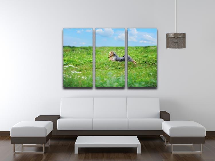Dog playing in the park 3 Split Panel Canvas Print - Canvas Art Rocks - 3