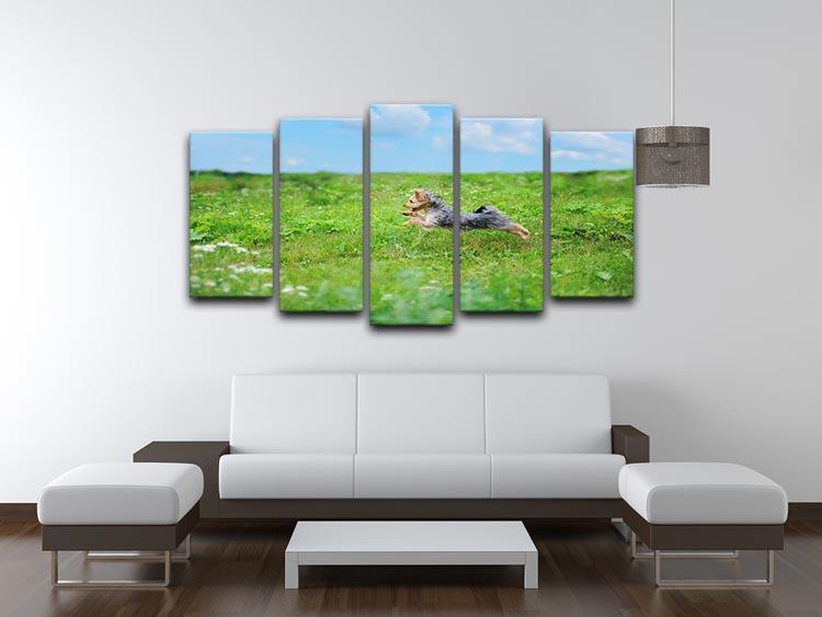Dog playing in the park 5 Split Panel Canvas - Canvas Art Rocks - 3