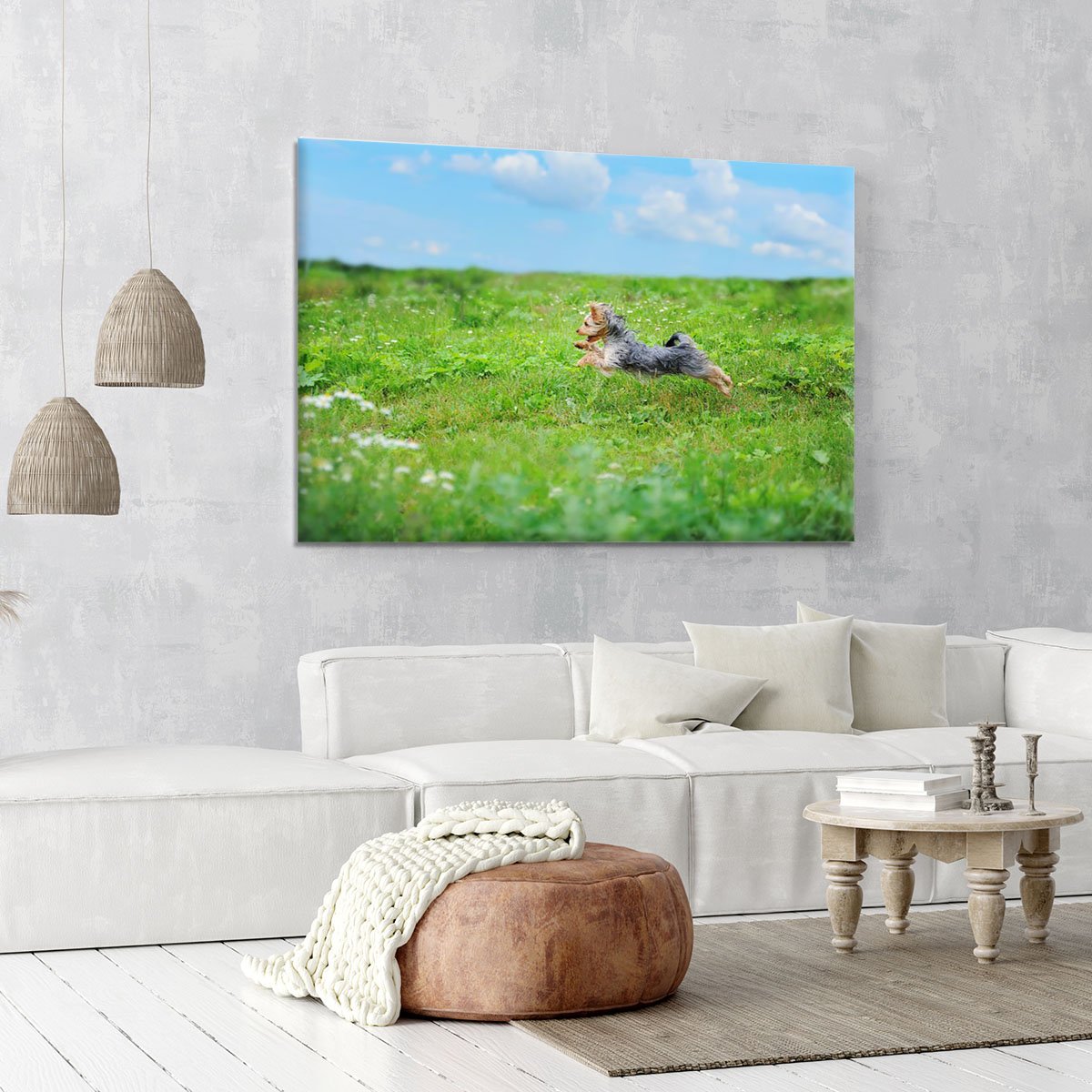 Dog playing in the park Canvas Print or Poster