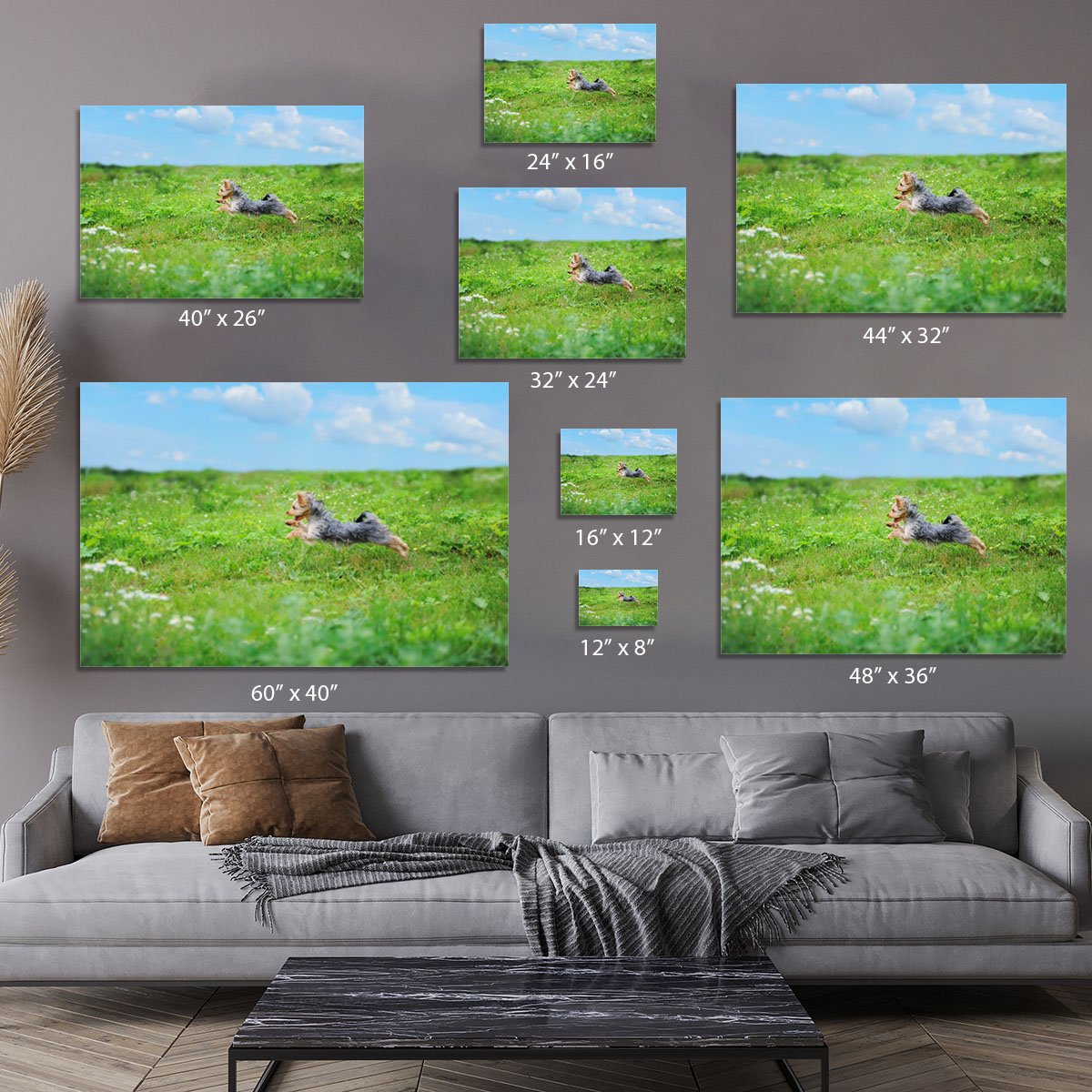 Dog playing in the park Canvas Print or Poster