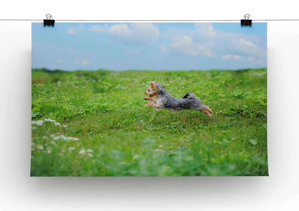 Dog playing in the park Canvas Print or Poster - Canvas Art Rocks - 2