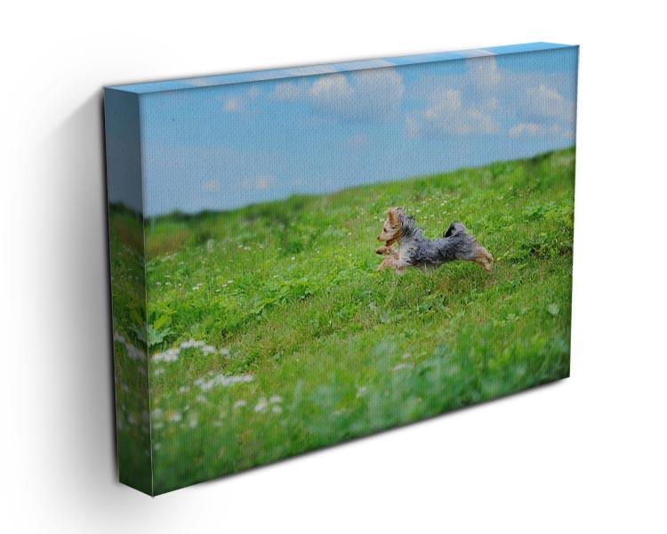 Dog playing in the park Canvas Print or Poster - Canvas Art Rocks - 3