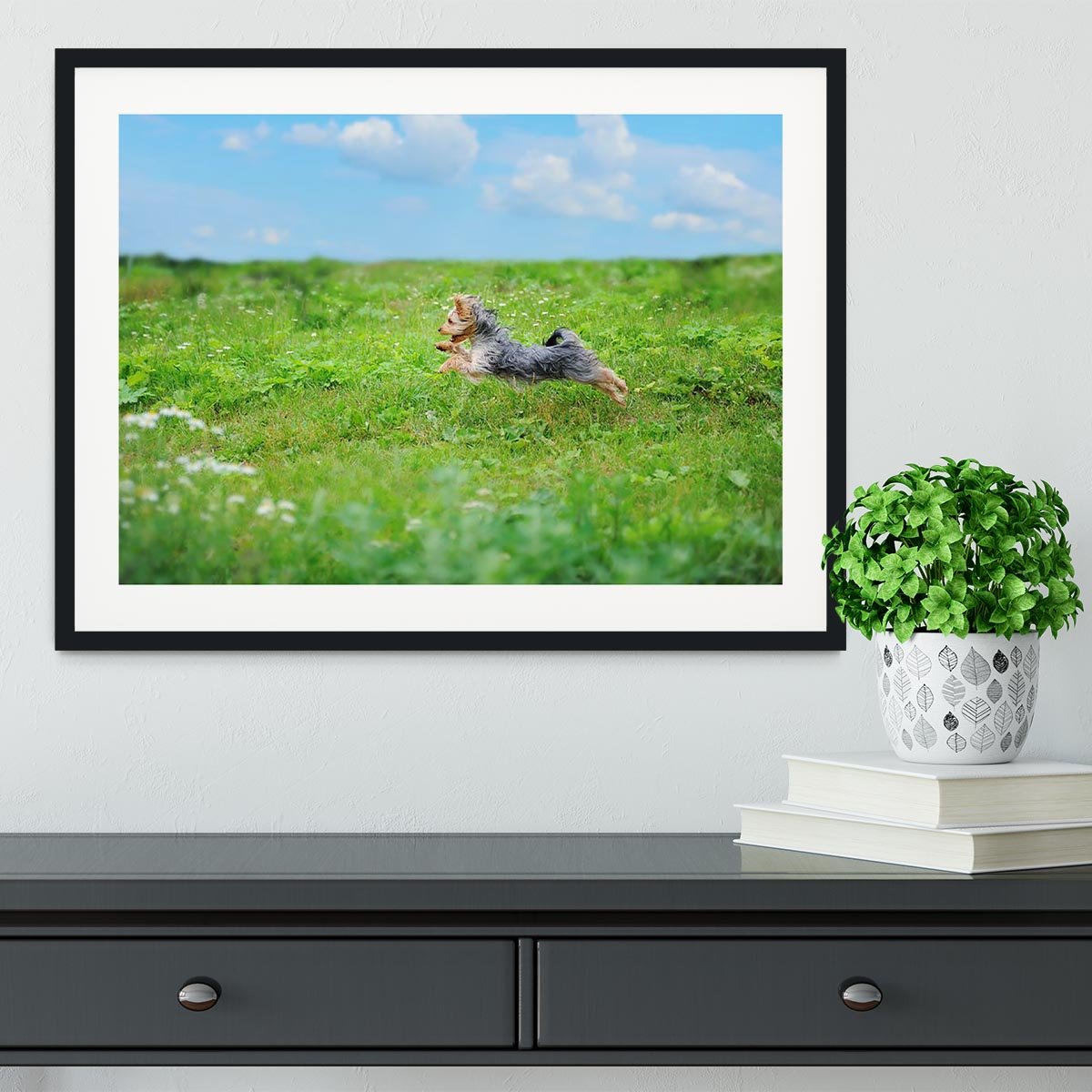 Dog playing in the park Framed Print - Canvas Art Rocks - 1