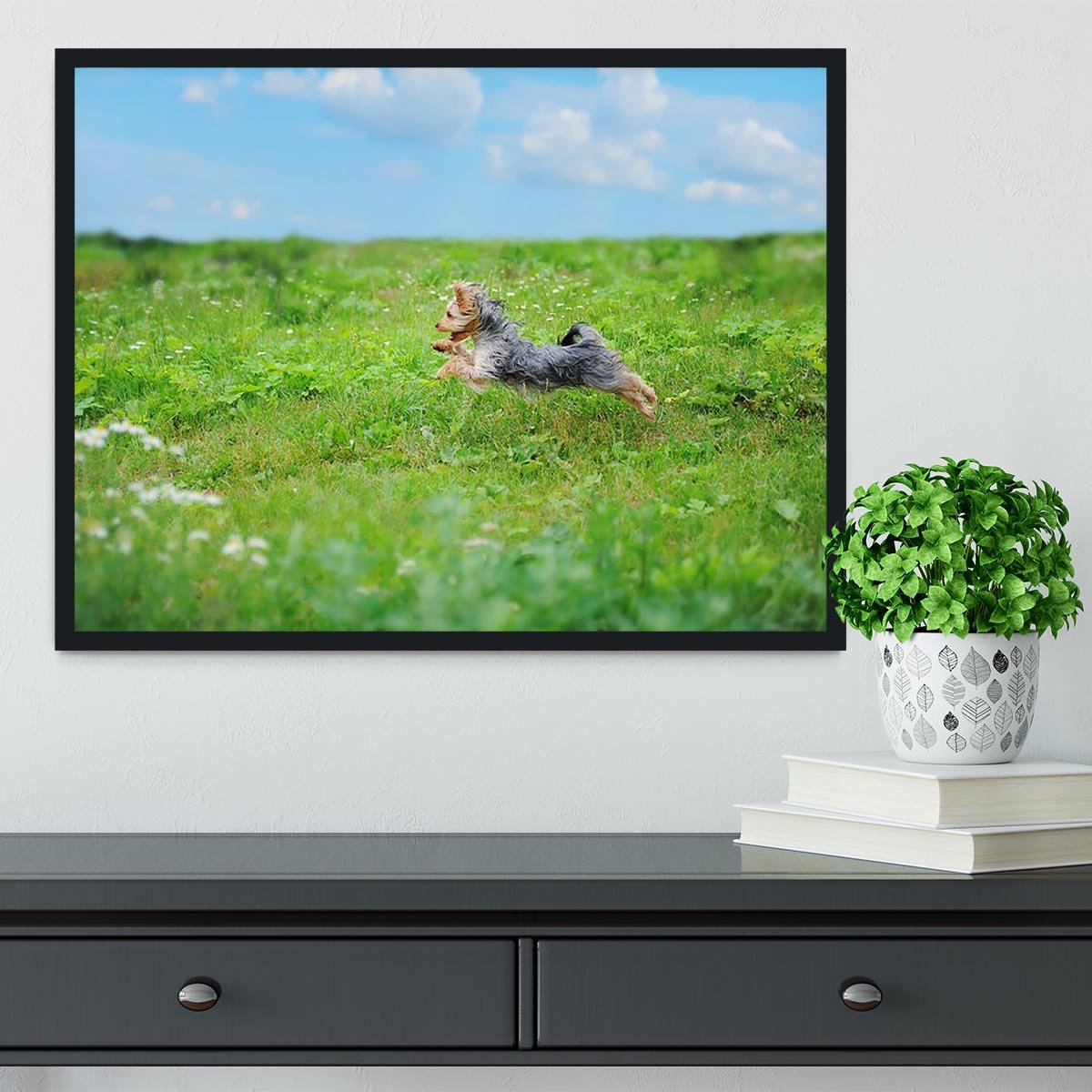 Dog playing in the park Framed Print - Canvas Art Rocks - 2