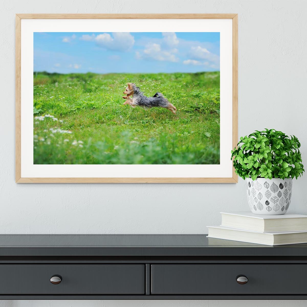 Dog playing in the park Framed Print - Canvas Art Rocks - 3