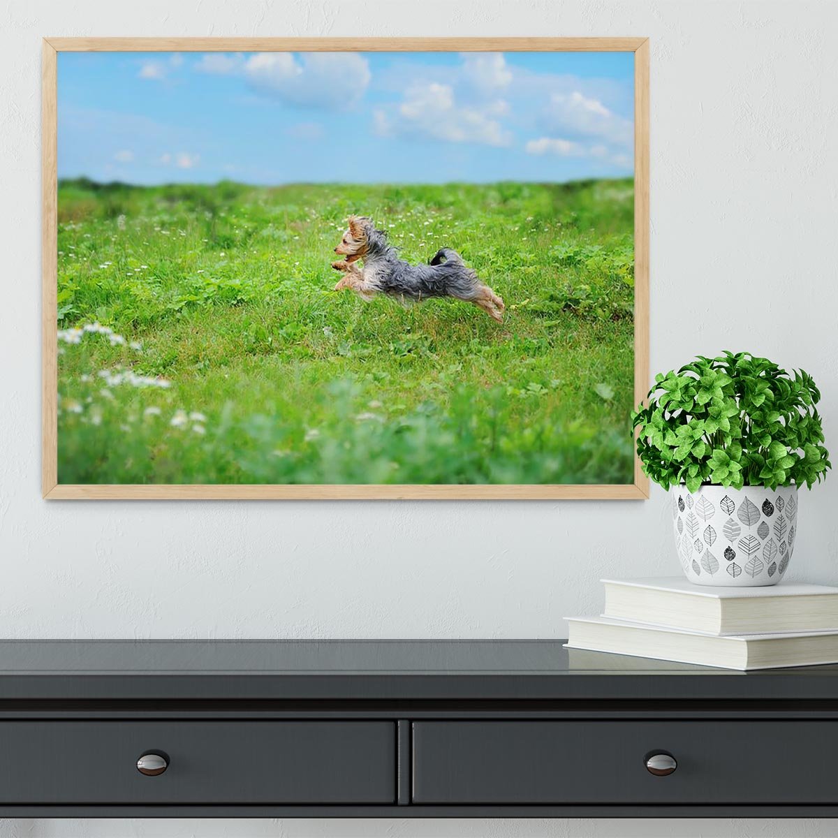 Dog playing in the park Framed Print - Canvas Art Rocks - 4
