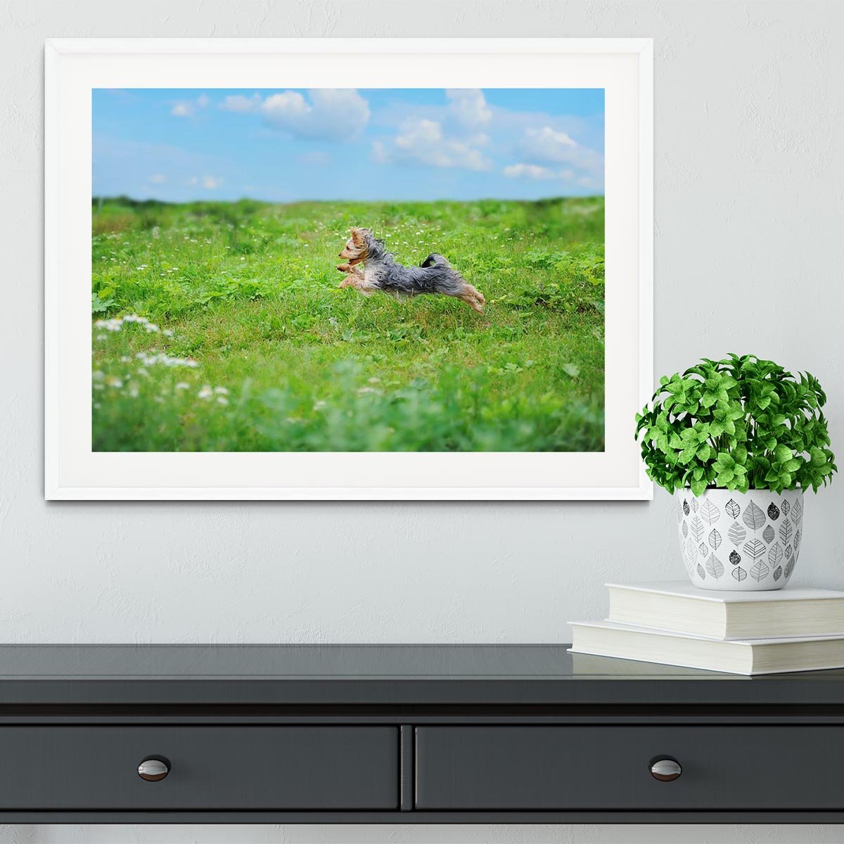 Dog playing in the park Framed Print - Canvas Art Rocks - 5