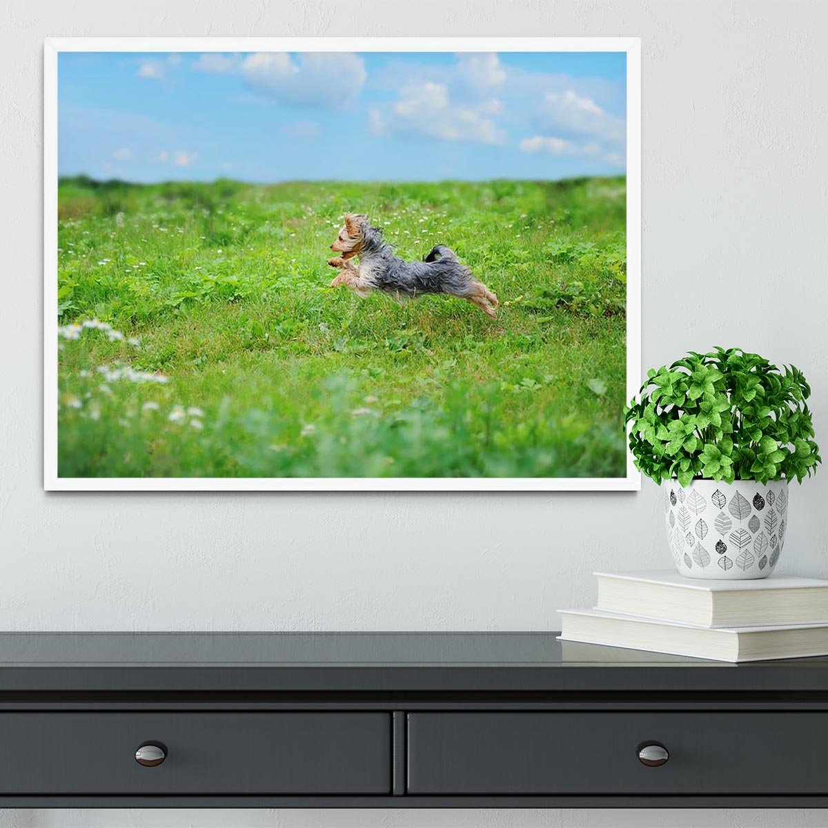 Dog playing in the park Framed Print - Canvas Art Rocks -6