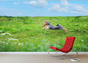 Dog playing in the park Wall Mural Wallpaper - Canvas Art Rocks - 2