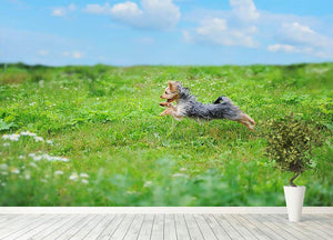 Dog playing in the park Wall Mural Wallpaper - Canvas Art Rocks - 4