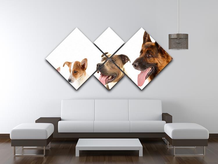 Dogs in row isolated on white 4 Square Multi Panel Canvas - Canvas Art Rocks - 3