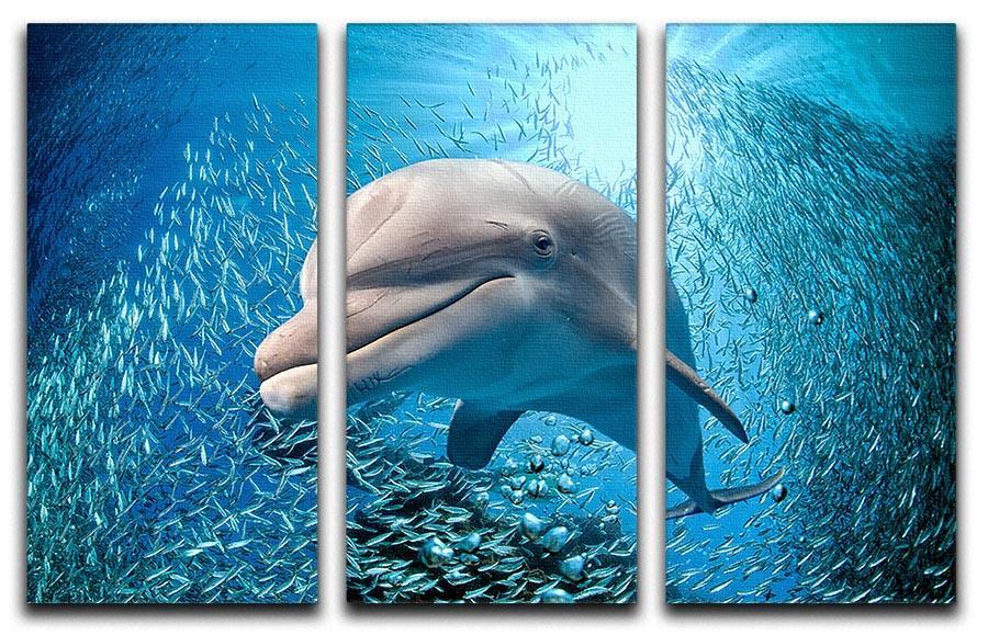 Dolphin underwater on ocean 3 Split Panel Canvas Print - Canvas Art Rocks - 1