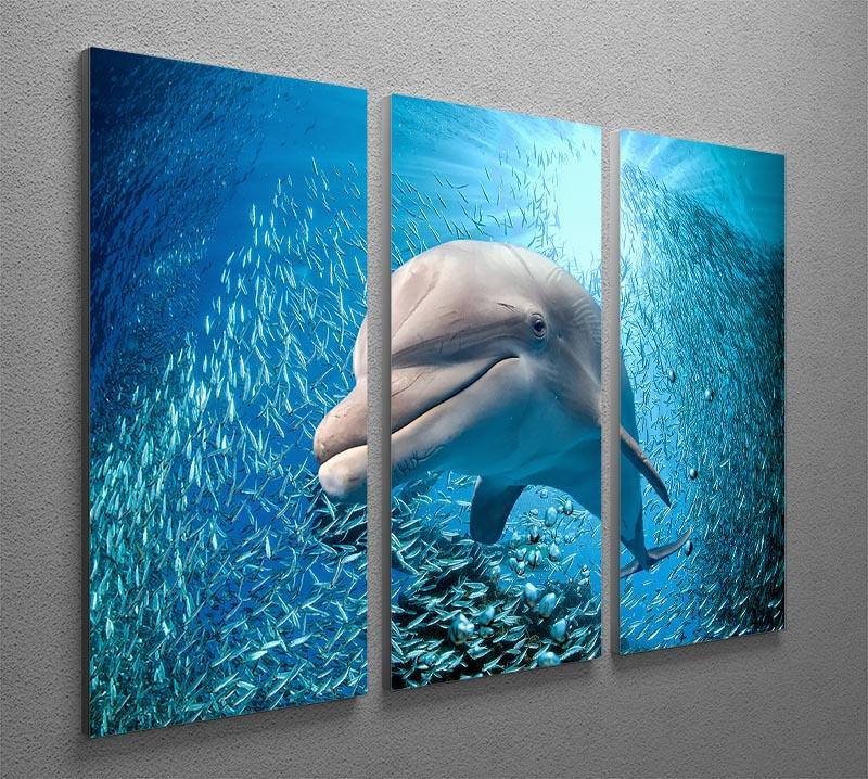 Dolphin underwater on ocean 3 Split Panel Canvas Print - Canvas Art Rocks - 2