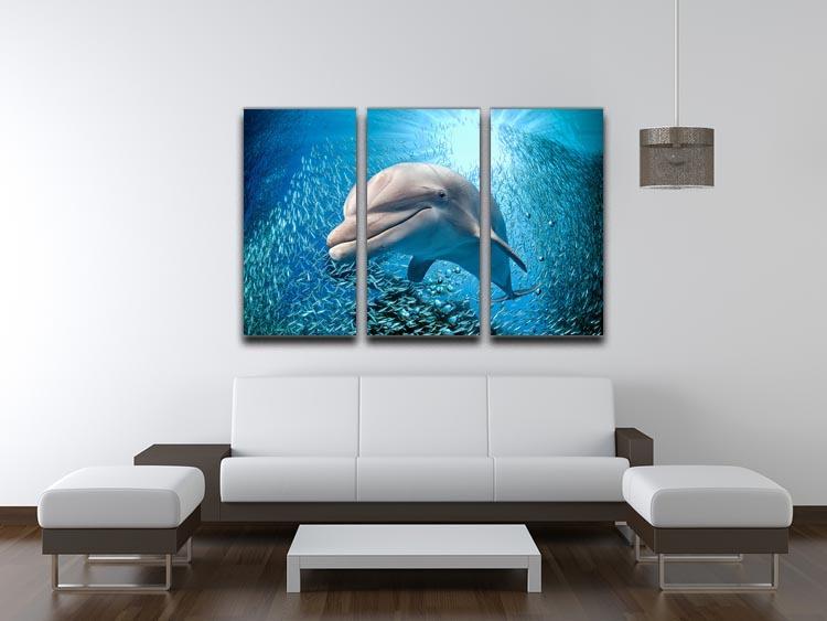 Dolphin underwater on ocean 3 Split Panel Canvas Print - Canvas Art Rocks - 3