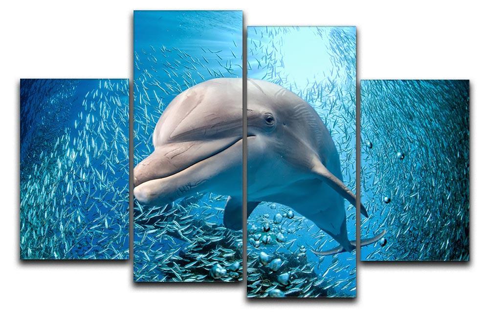 Dolphin underwater on ocean 4 Split Panel Canvas  - Canvas Art Rocks - 1