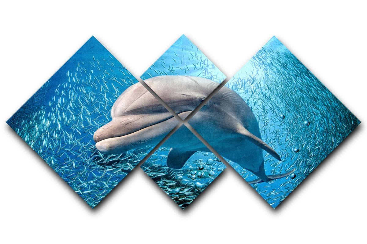 Dolphin underwater on ocean 4 Square Multi Panel Canvas  - Canvas Art Rocks - 1