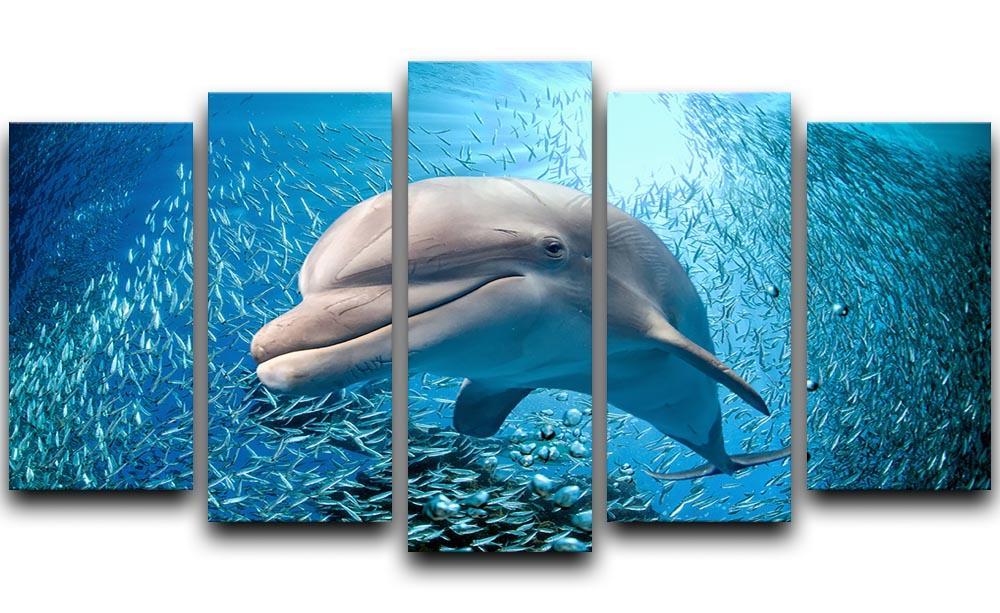Dolphin underwater on ocean 5 Split Panel Canvas  - Canvas Art Rocks - 1