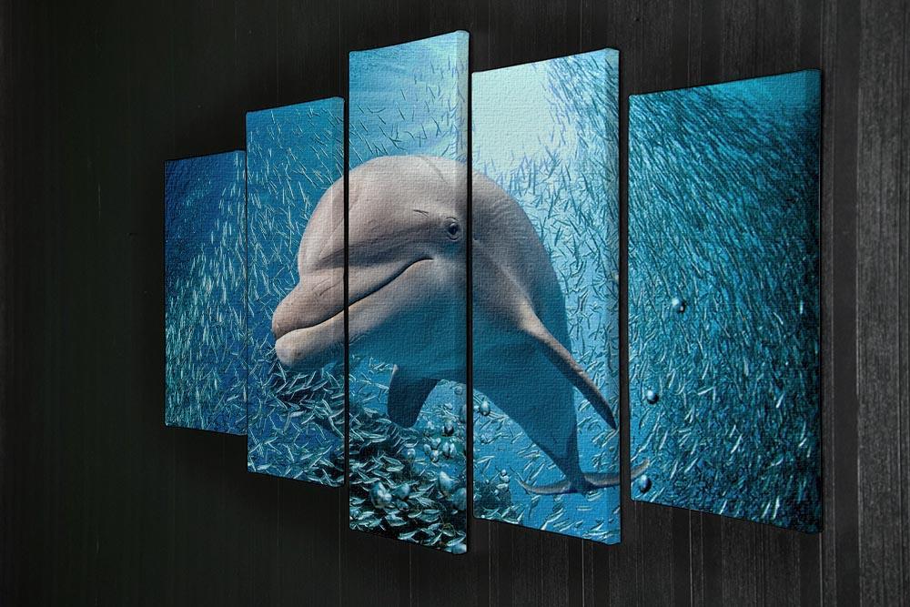 Dolphin underwater on ocean 5 Split Panel Canvas  - Canvas Art Rocks - 2