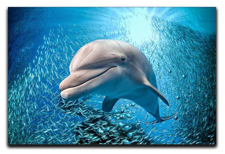 Dolphin underwater on ocean Canvas Print or Poster  - Canvas Art Rocks - 1