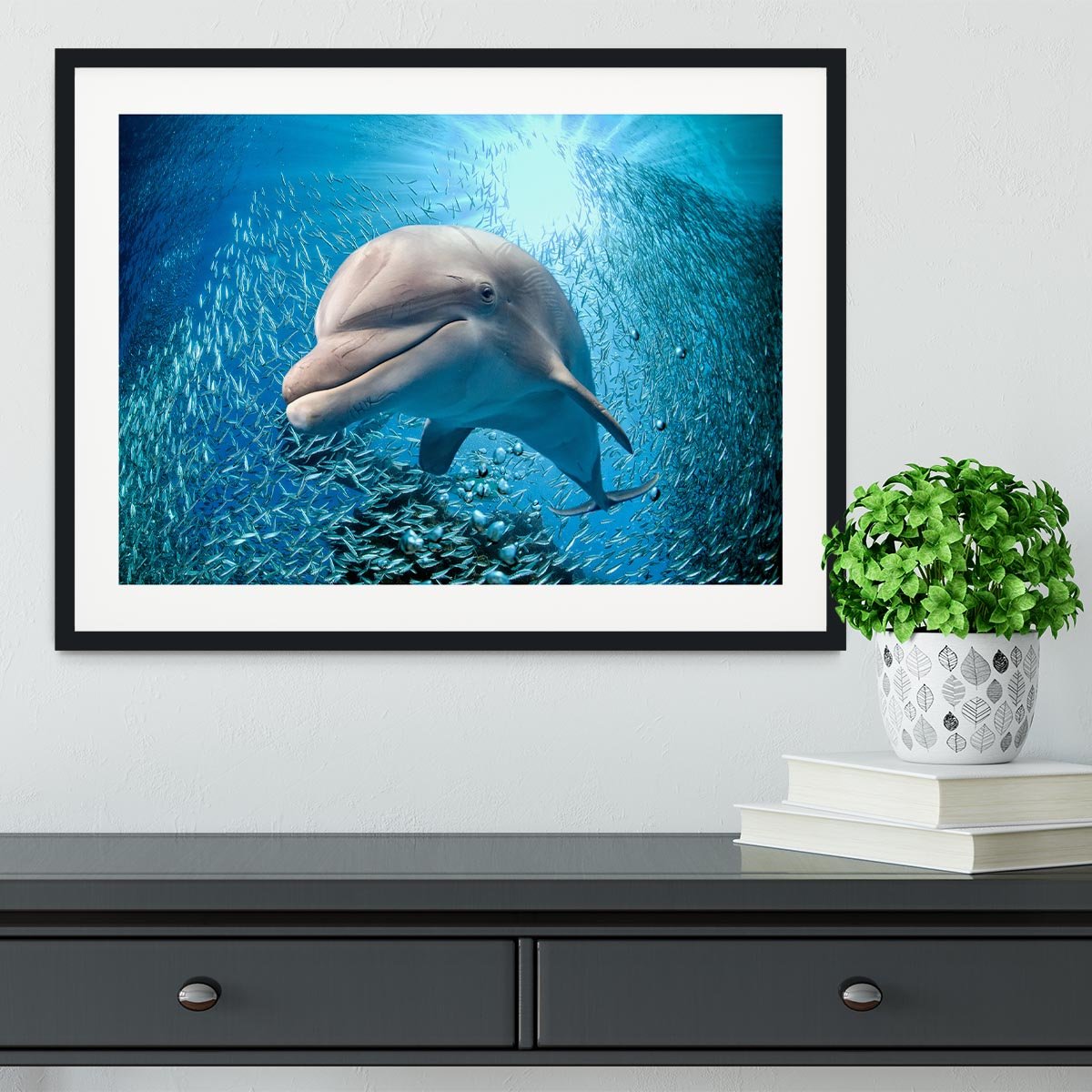 Dolphin underwater on ocean Framed Print - Canvas Art Rocks - 1
