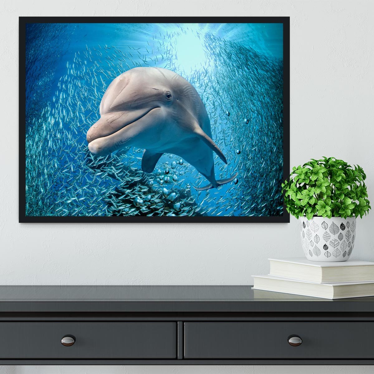 Dolphin underwater on ocean Framed Print - Canvas Art Rocks - 2