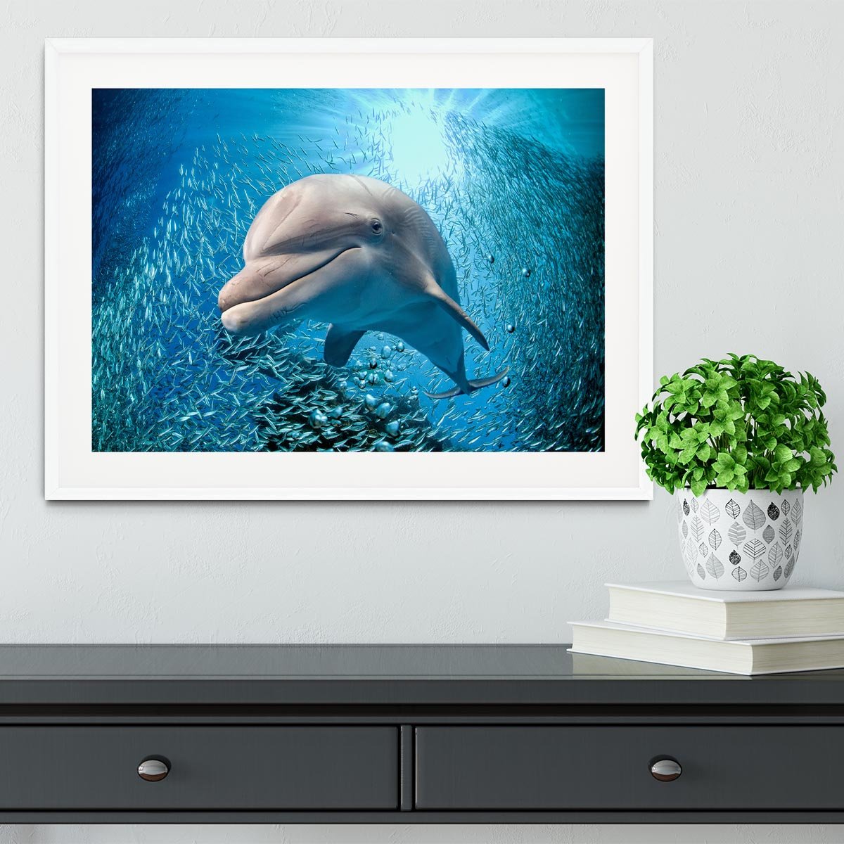 Dolphin underwater on ocean Framed Print - Canvas Art Rocks - 5