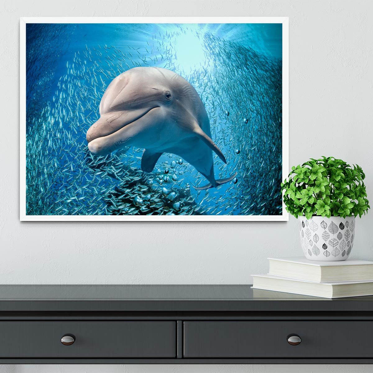 Dolphin underwater on ocean Framed Print - Canvas Art Rocks -6