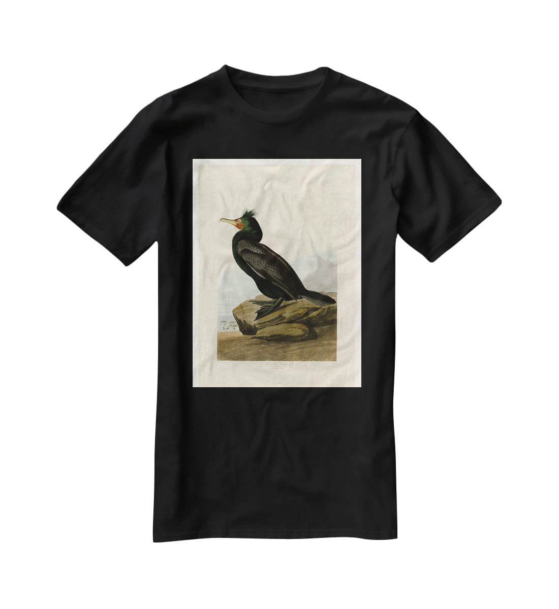 Double crested Cormorant by Audubon T-Shirt - Canvas Art Rocks - 1