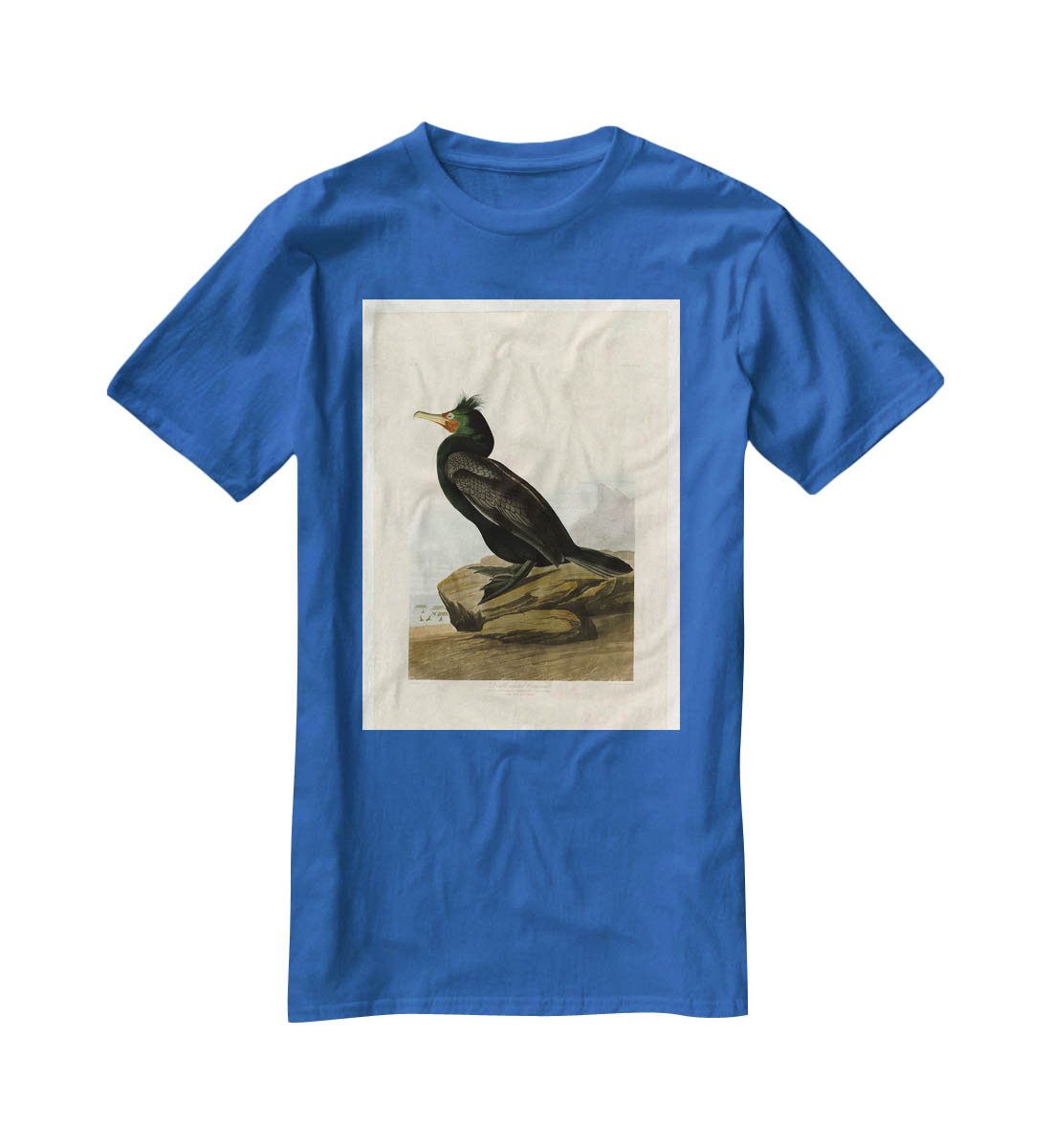 Double crested Cormorant by Audubon T-Shirt - Canvas Art Rocks - 2
