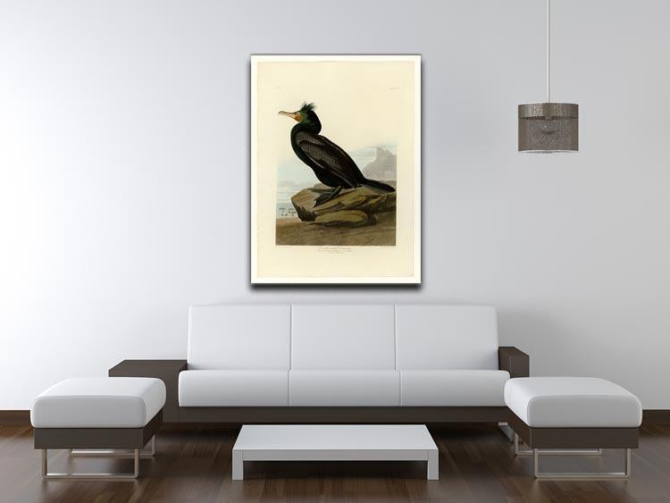 Double crested Cormorant by Audubon Canvas Print or Poster - Canvas Art Rocks - 4