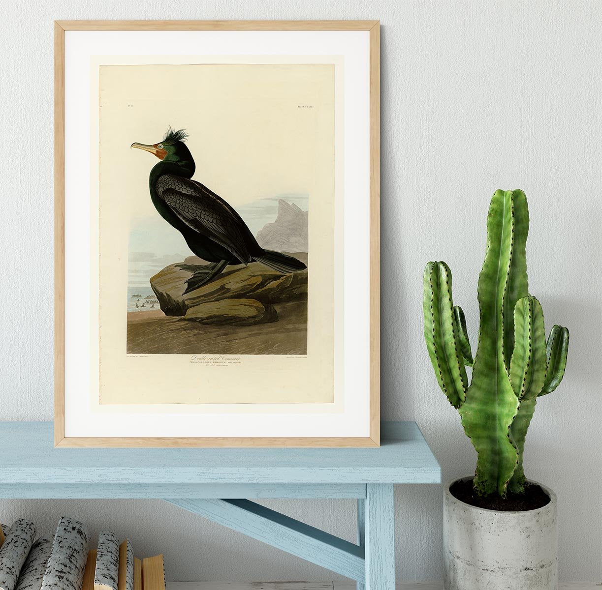 Double crested Cormorant by Audubon Framed Print - Canvas Art Rocks - 3
