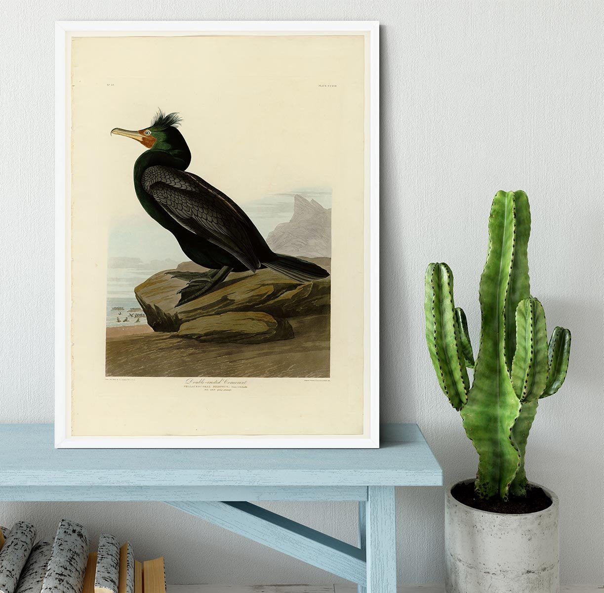 Double crested Cormorant by Audubon Framed Print - Canvas Art Rocks -6