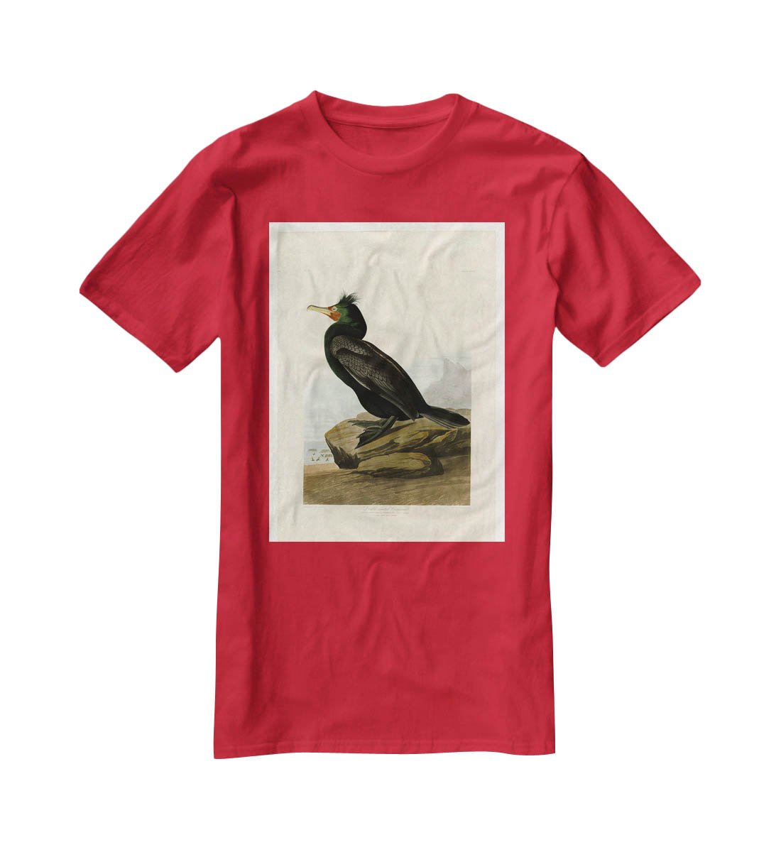 Double crested Cormorant by Audubon T-Shirt - Canvas Art Rocks - 4