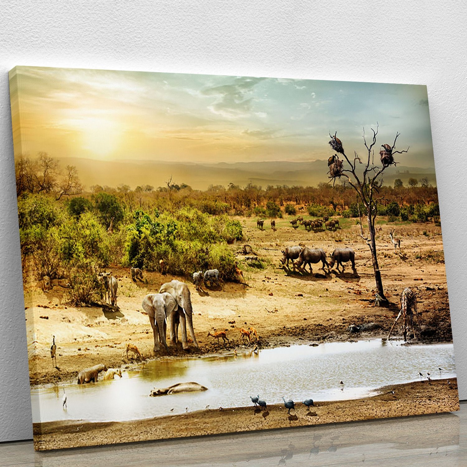 Dreamy scene of common South African safari Canvas Print or Poster