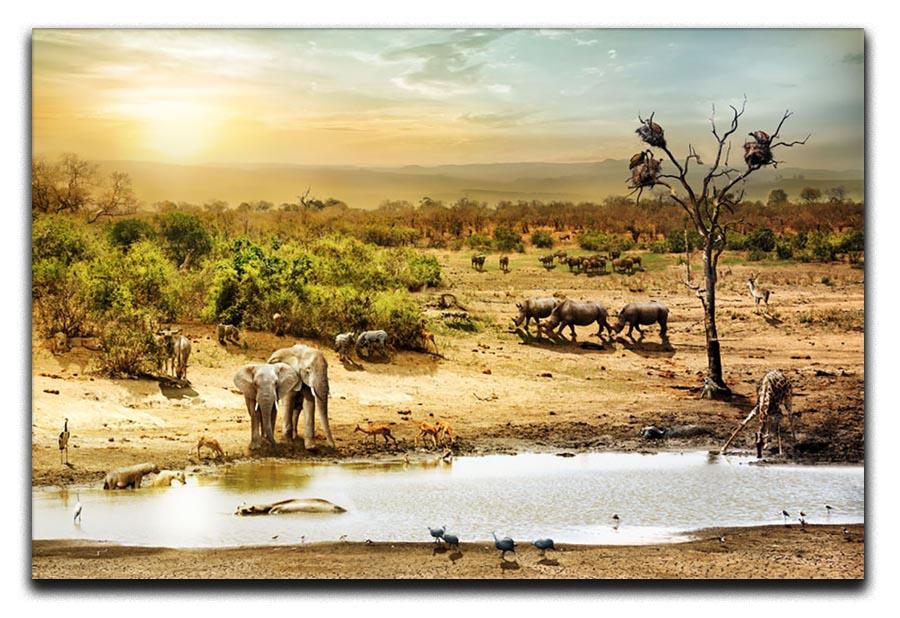 Dreamy scene of common South African safari Canvas Print or Poster - Canvas Art Rocks - 1