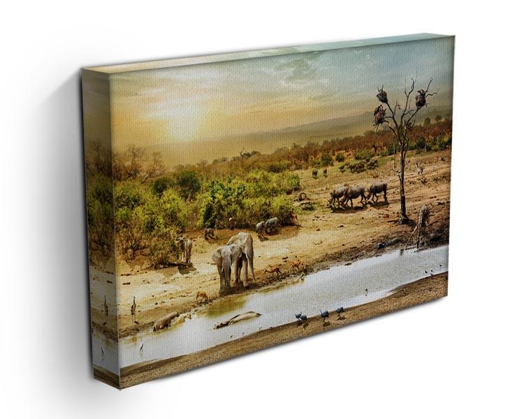 Dreamy scene of common South African safari Canvas Print or Poster - Canvas Art Rocks - 3