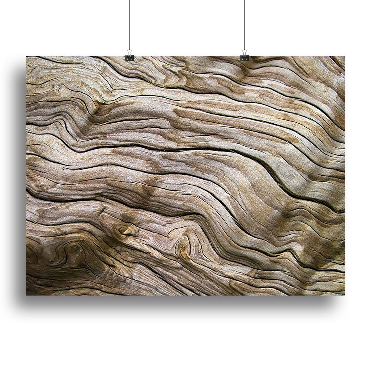 Driftwood Canvas Print or Poster
