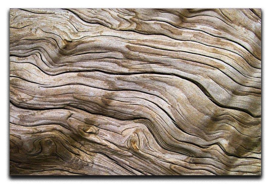 Driftwood Canvas Print or Poster  - Canvas Art Rocks - 1